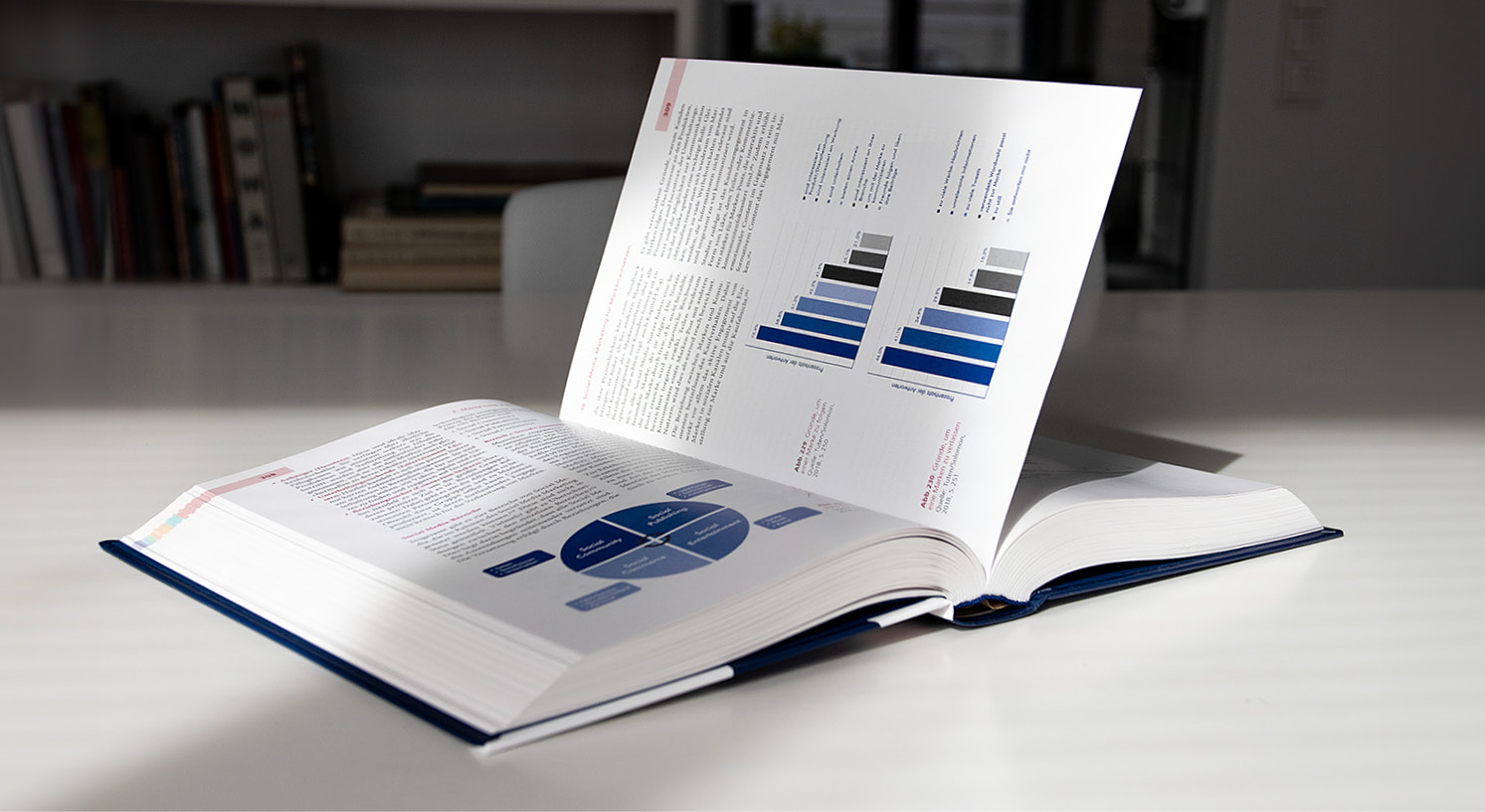 Aufgeschlagenes Buch. Die Doppelseite enthält Grafiken und Text.